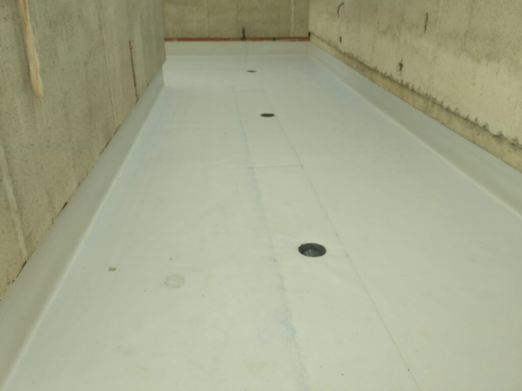 IMG_20170914_130727 - Daniel Carrasco