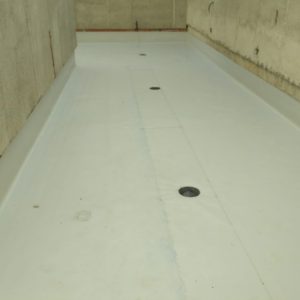 IMG_20170914_130727 - Daniel Carrasco